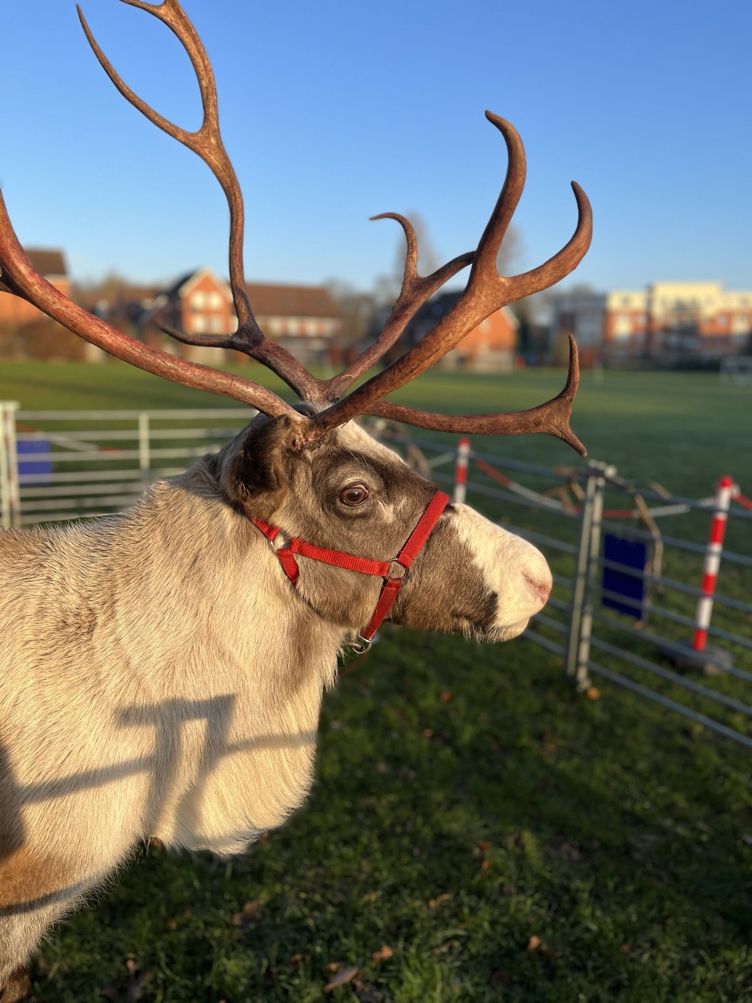 {alt_tag}