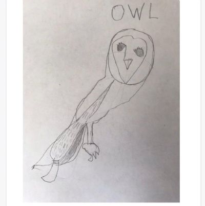 owl3