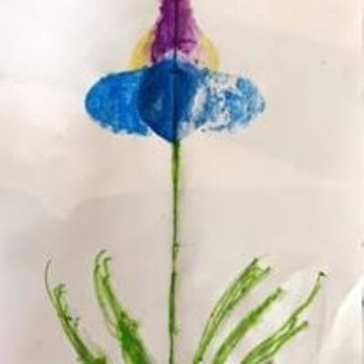 iris