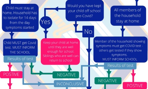 St Bernard S Preparatory School Covid 19 Flowchart St Bernard S Preparatory School Covid 19 Flowchart